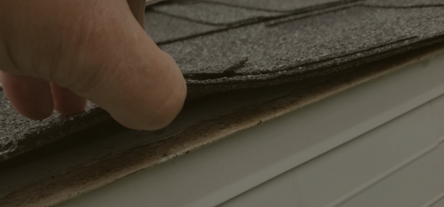 close-up-shot-of-roof-inspection-nibley-ut